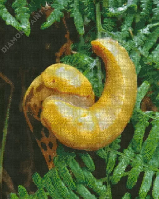 Banana Slug Diamond Painting