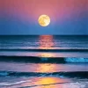 Beach With Moon Diamond Painting