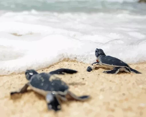 Beach With Turtle Diamond Painting