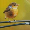 Bird On A Wire Diamond Painting