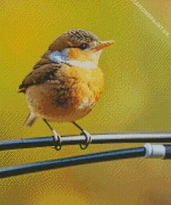 Bird On A Wire Diamond Painting