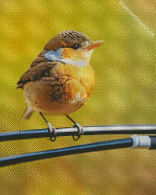 Bird On A Wire Diamond Painting