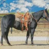 Black Western Horse Diamond Painting