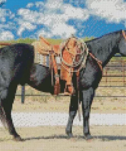 Black Western Horse Diamond Painting