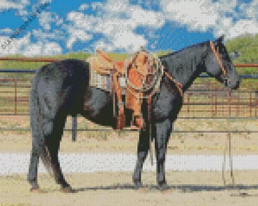 Black Western Horse Diamond Painting