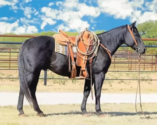 Black Western Horse Diamond Painting