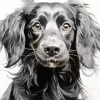 Black Wiener Dog Long Hair Diamond Painting