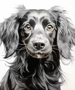 Black Wiener Dog Long Hair Diamond Painting