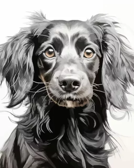 Black Wiener Dog Long Hair Diamond Painting