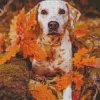 Blond Dalmatians And Leaves Diamond Painting