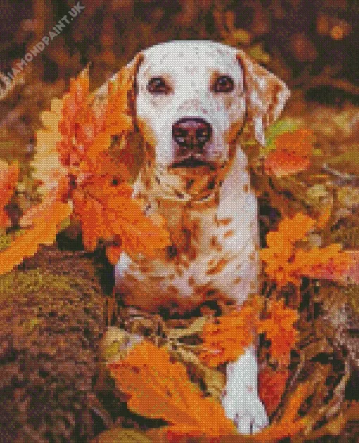 Blond Dalmatians And Leaves Diamond Painting