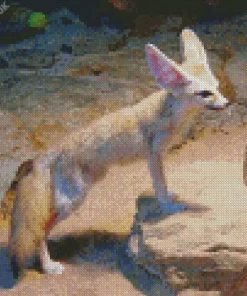 Blond Fox Diamond Painting