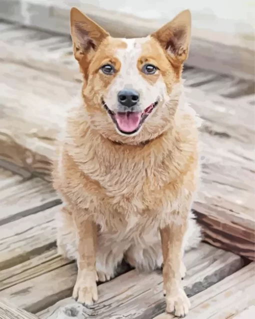 Blonde Australian Cattle Dog Diamond Painting