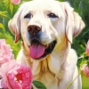 Blonde Labrador And Flowers Diamond Painting