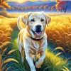 Blonde Labrador In Wheat Field Diamond Painting