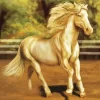 Blonde Stallion Horse Diamond Painting