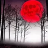 Blood Moon Forest Diamond Painting