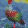 Blood Pheasant Bird Diamond Painting