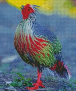 Blood Pheasant Bird Diamond Painting