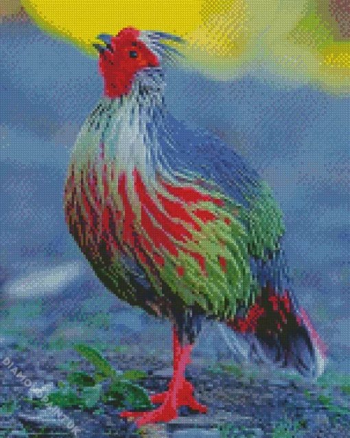 Blood Pheasant Bird Diamond Painting