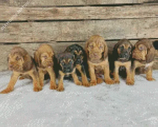 Bloodhound Puppies Diamond Painting