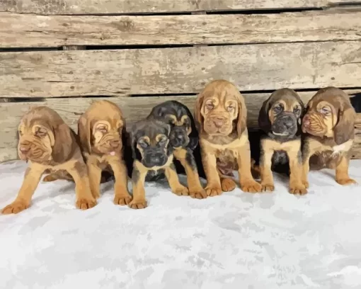 Bloodhound Puppies Diamond Painting