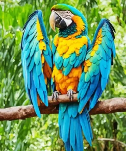 Blue And Gold Macaw Bird Diamond Painting