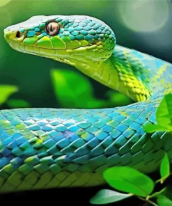 Blue And Green Pit Vipers Snake Diamond Painting