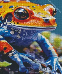 Blue And Orange Frog Diamond Painting