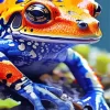 Blue And Orange Frog Diamond Painting