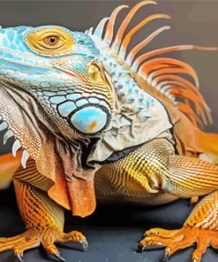 Blue And Orange Iguana Diamond Painting