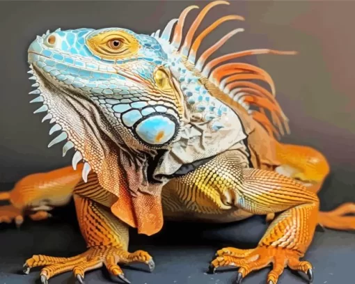 Blue And Orange Iguana Diamond Painting