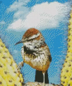 Cactus Wren Diamond Painting