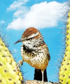 Cactus Wren Diamond Painting