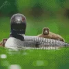 Common Loon Diamond Painting