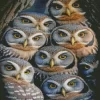 Cool Group Of Owls Diamond Painting