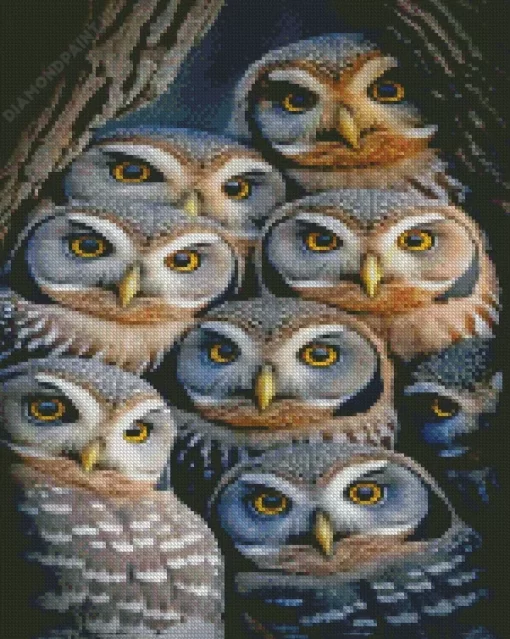 Cool Group Of Owls Diamond Painting