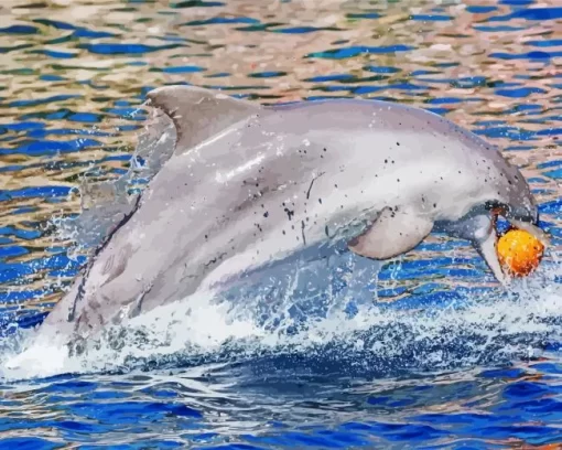 Dolphin Playing With Ball Diamond Painting