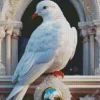 Fancy White Pigeon Diamond Painting