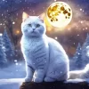 Full Moon And Cat Diamond Painting