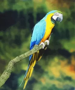 Gold And Yellow Macaw Bird Diamond Painting