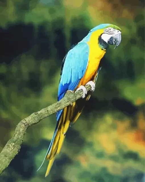 Gold And Yellow Macaw Bird Diamond Painting