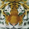 Green Eyes Tiger Animal Diamond Painting