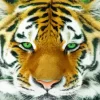 Green Eyes Tiger Animal Diamond Painting