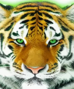 Green Eyes Tiger Animal Diamond Painting