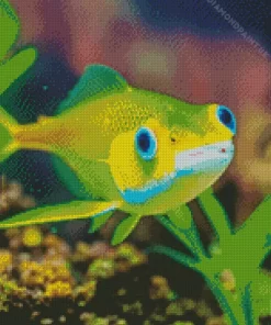 Green Fish Diamond Painting