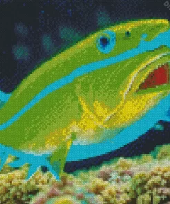 Green Fish Diamond Painting