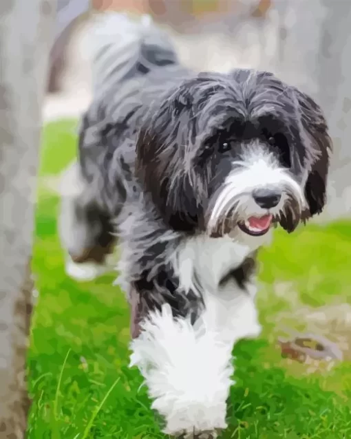 Grey Tibetan Terrier Puppy Diamond Painting