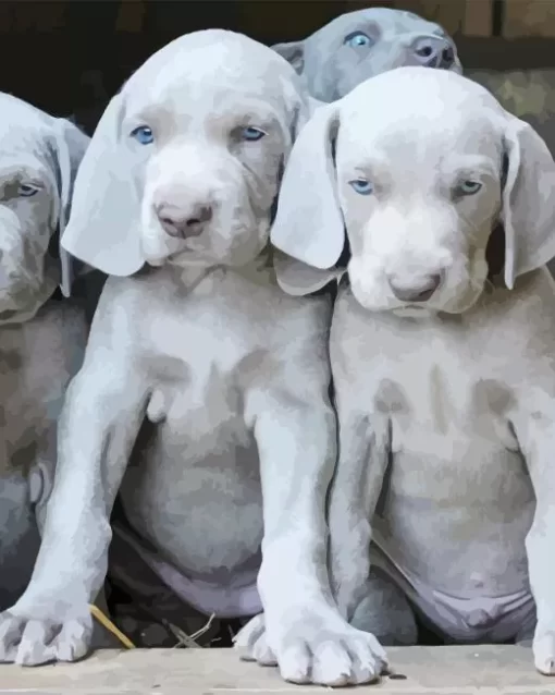 Grey Weimaraner Puppies Diamond Painting