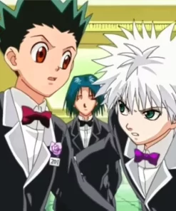 Grown Up Gon And Killua Anime Diamond Painting